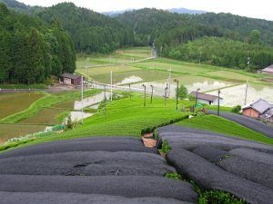 champ_the_japon-nara_img_7688