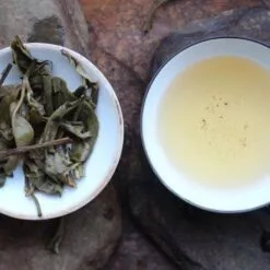 infusion des feuilles puerh yiwu