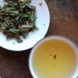 infusion du Darjeeling first Flush Goomtee 2020