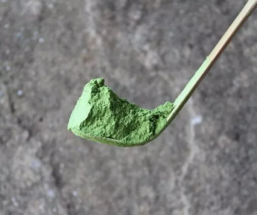 Matcha sur une cuillère en bambou Chashaku