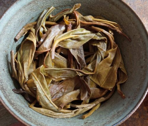 Feuilles de thé puerh sheng de Thaïlande