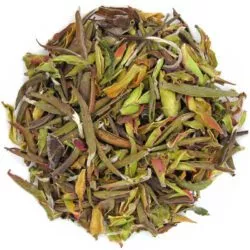 Thé vert de théiers sauvages du Vietnam