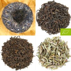 quatre thés du Yunnan à déguster